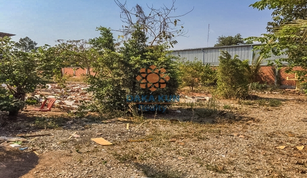 Urgent Sale Land near Svay Dangkum-Siem Reap